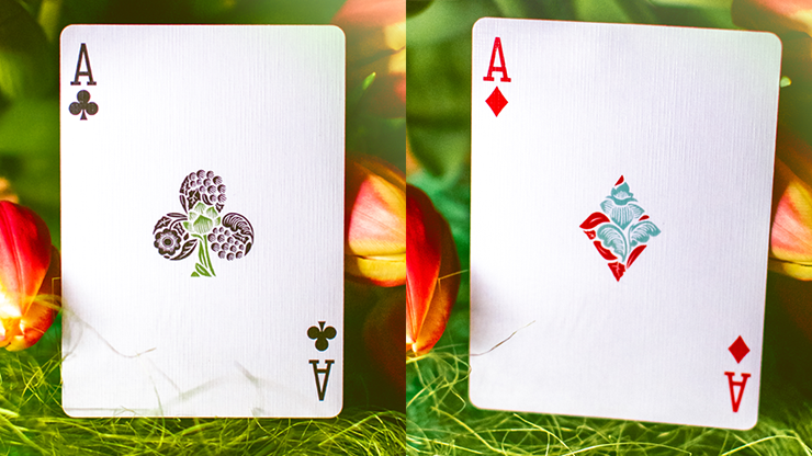 72318 alt4.png Butterfly Seasons Playing Cards Marked (Spring) by Ondrej Psenicka