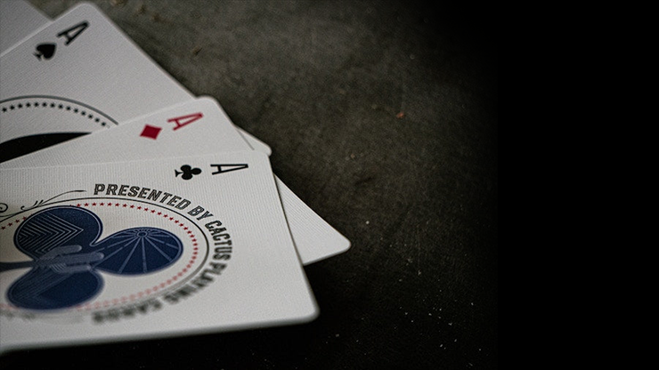 75028 alt2.png Desert Design (Ruby Red) Playing Cards