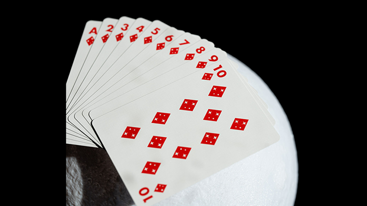 77240 alt4.png NASA Foil Meatball Logo Playing Cards