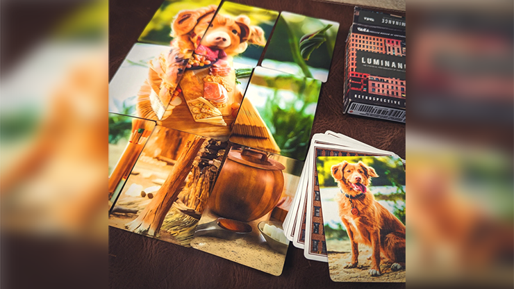 78080 alt1.png FMPX (Fusion Mosaic Phenomenon) Standard Edition Playing Cards