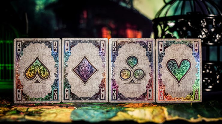 79938 alt2.png Keyhole Reflections on the Wall Playing Cards by Fashion TCC