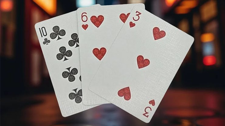 80156 alt4.png Biker Dogs Playing Cards by Collectable Playing Cards